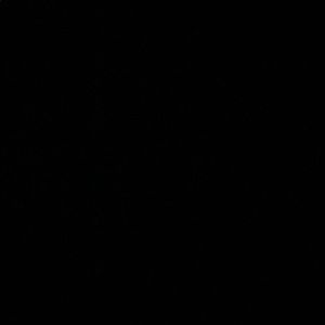 Meet your Posher, Curtis